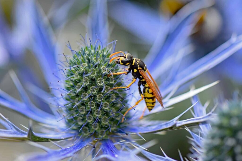 Pests Do More for Us Than You Think