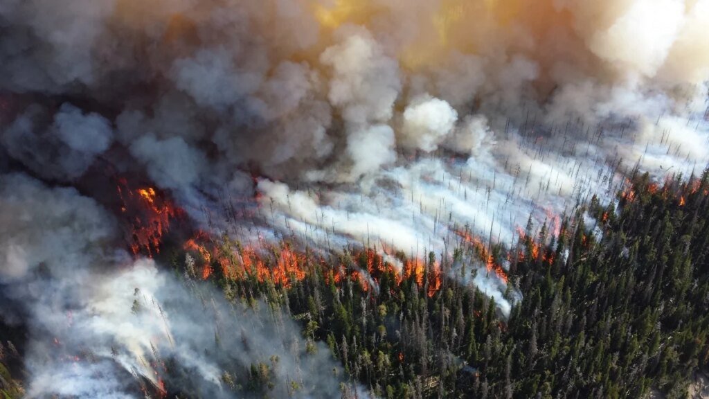 Wild Ways to Tame Wildfires