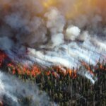 Wild Ways to Tame Wildfires