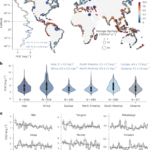 Rapid changes in global river particulate organic carbon flux