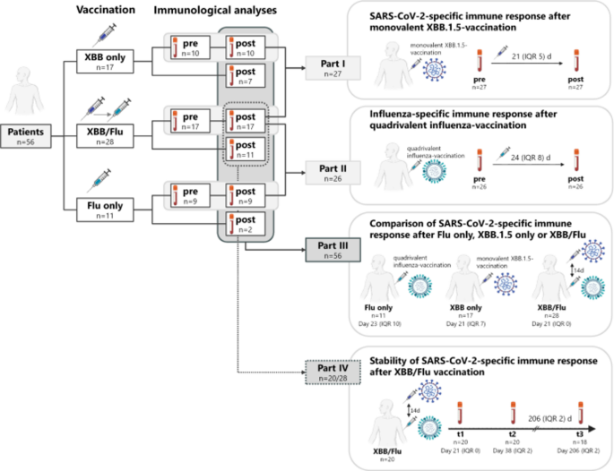 SARS-CoV-2-specific immunity after XBB.1.5 vaccination is not significantly altered by subsequent influenza vaccination in dialysis patients