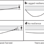 Biodiversity recovery is slow following clear-cut harvest of boreal forests