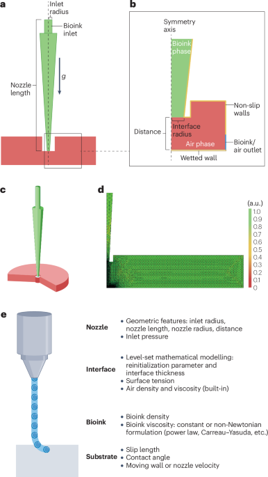 Computational approaches in bioprinting processes