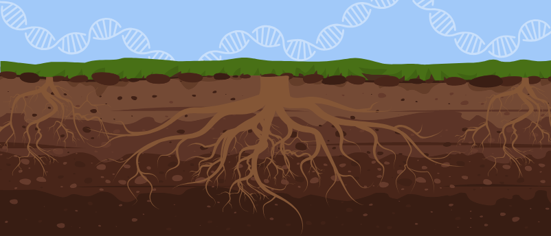 New ddPCR Method for Root DNA Analysis