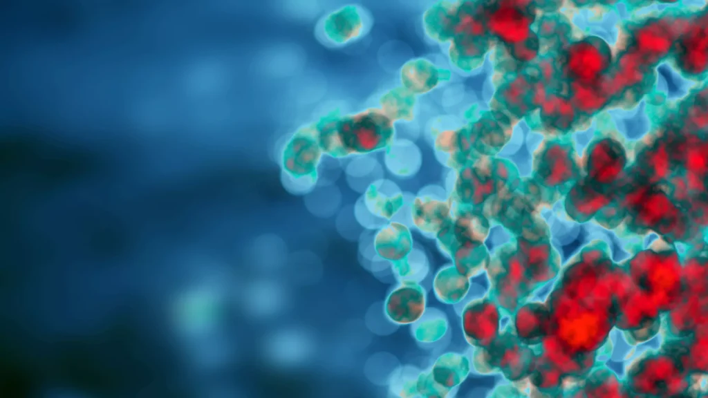 Genistein in autoimmune diseases: from experimental evidence to emerging clinical data