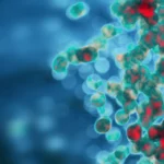 Genistein in autoimmune diseases: from experimental evidence to emerging clinical data