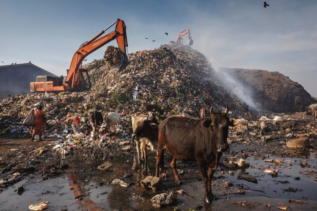 Methane 101: Understanding the Second Most Important Greenhouse Gas