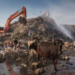 Methane 101: Understanding the Second Most Important Greenhouse Gas