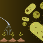 What Role Does Weedkiller Play in AMR?